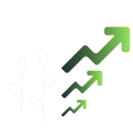 crop-development-image